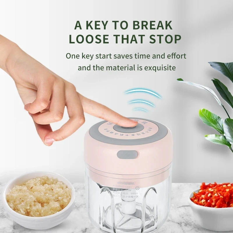 250ml Mini Electric Food Chopper & Grinder