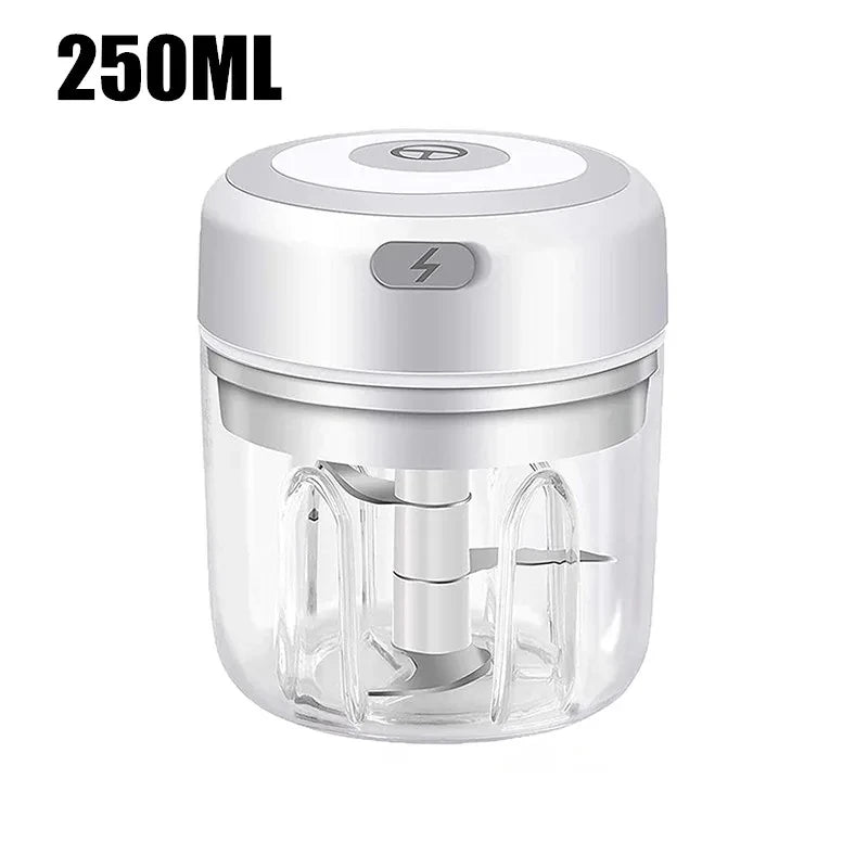 250ml Mini Electric Food Chopper & Grinder