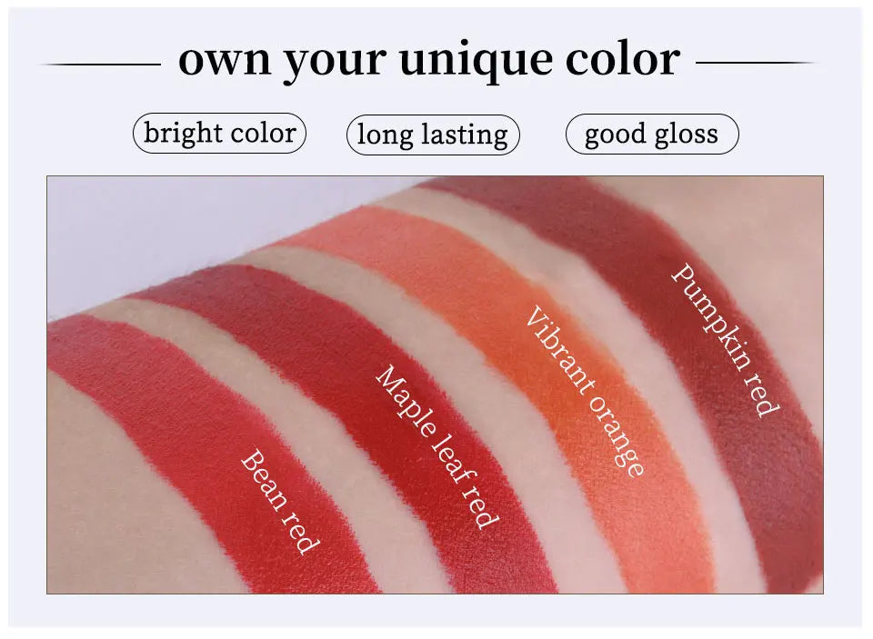 4-Piece Waterproof Matte Lipstick Set – Long-Lasting Perfect Valentine's Day Gift for Her