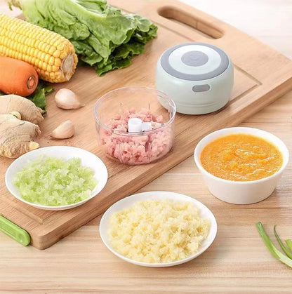 250ml Mini Electric Food Chopper & Grinder