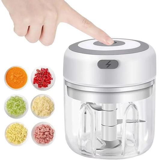 250ml Mini Electric Food Chopper & Grinder